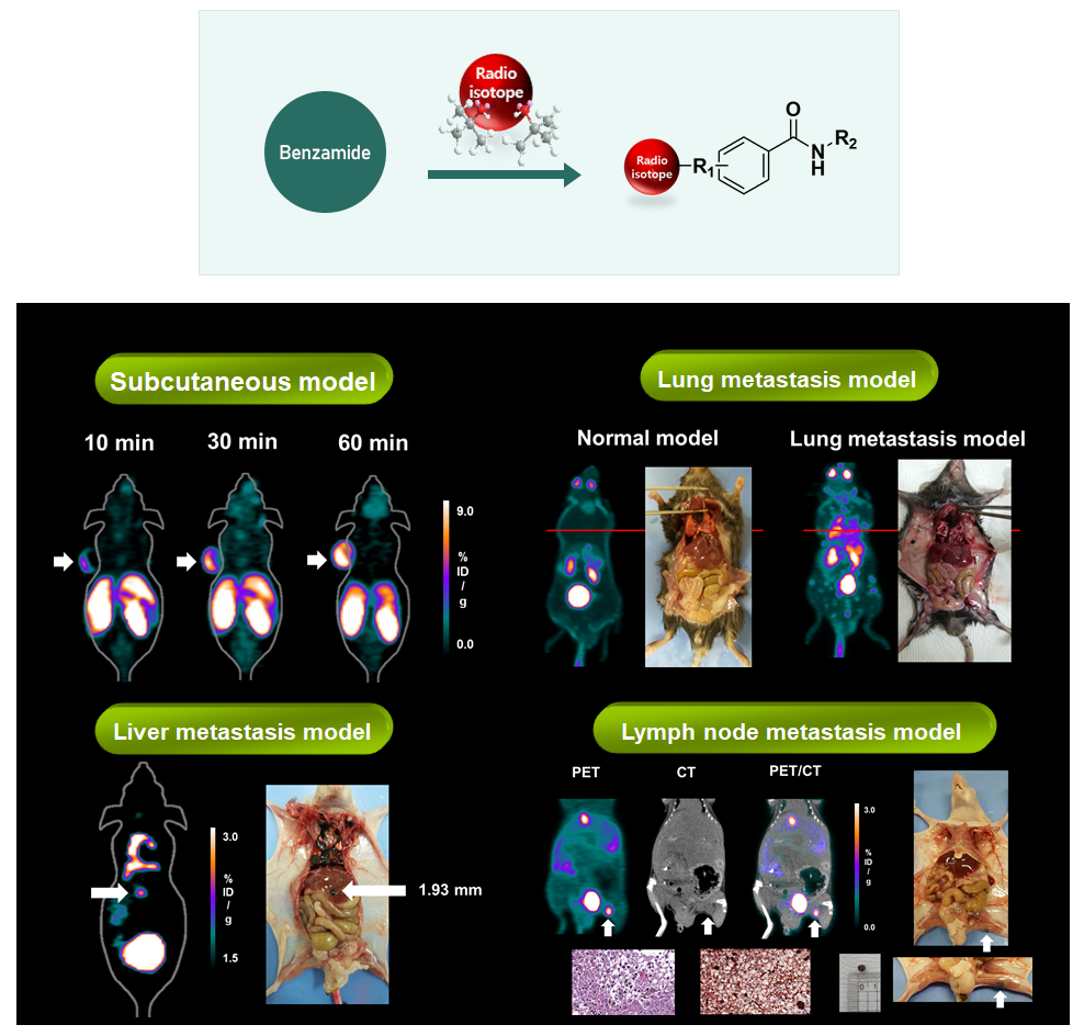 Development of 18F labeled tracers to visualize malignant melanoma